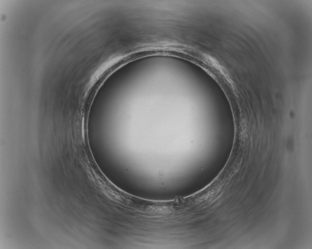 X0000086881320200704231053