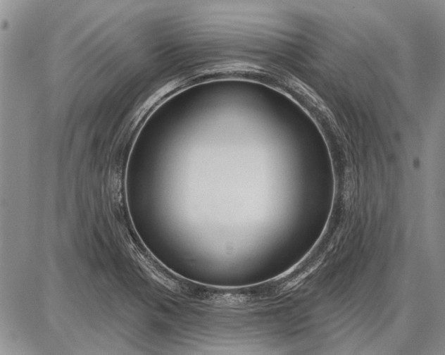 X0000086881321200704231053