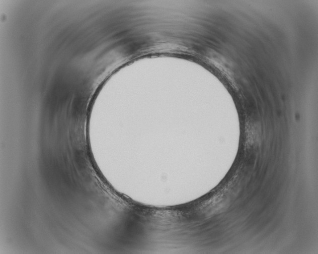 X0000086881322200704231053