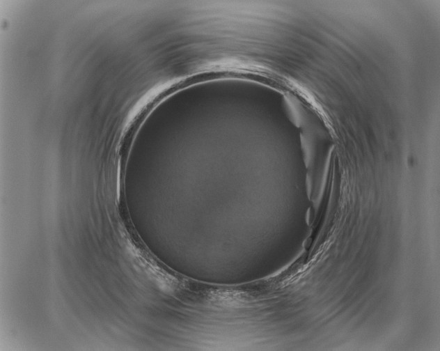 X0000086881323200704231053