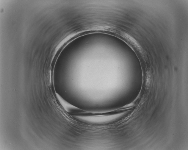 X0000086881324200704231053