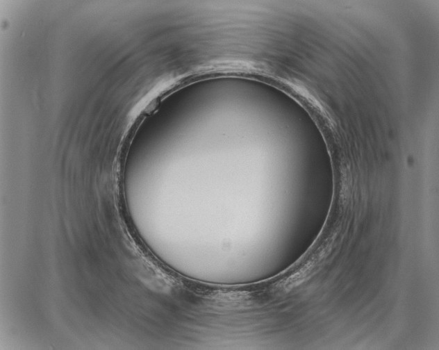 X0000086881325200704231053