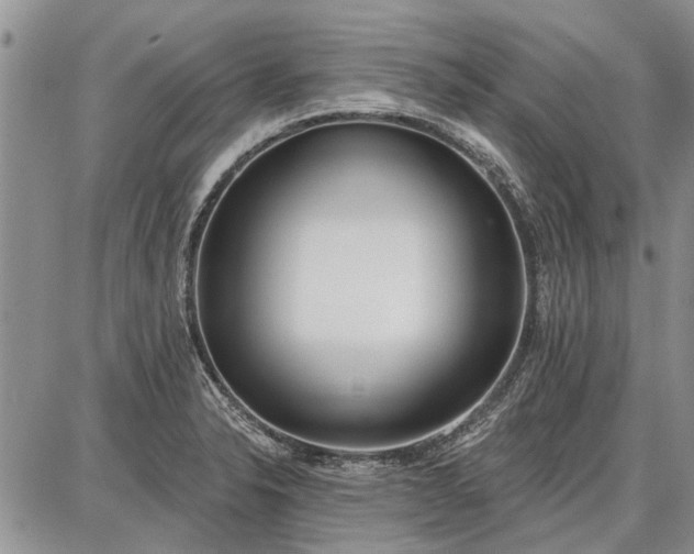 X0000086881326200704231053