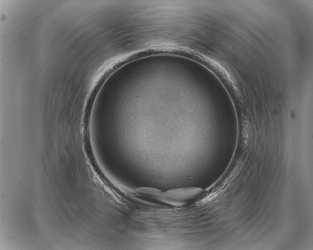 X0000086881327200704231053