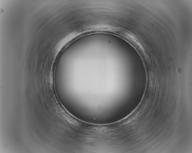 X0000086881328200704231053