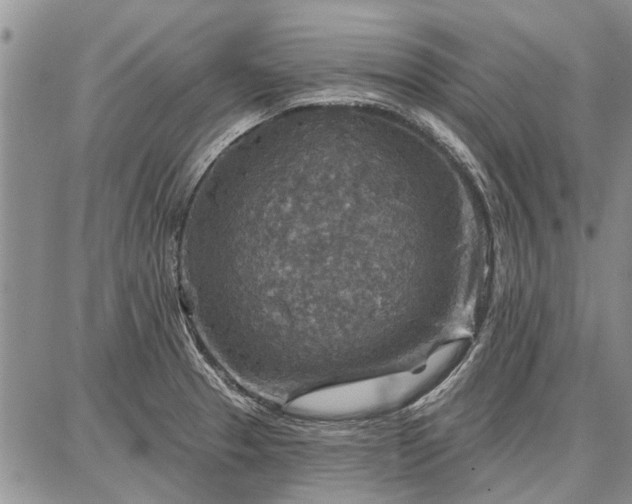 X0000086881329200704231053