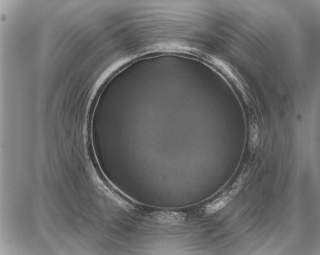 X0000086881331200704231053