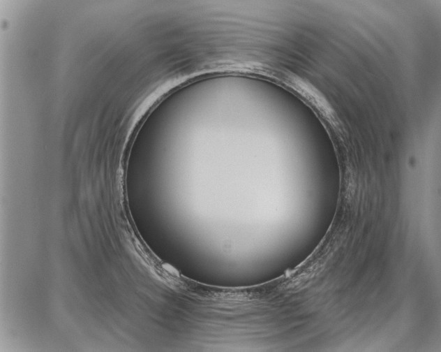 X0000086881332200704231053