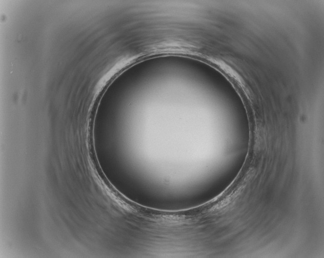 X0000086881333200704231053