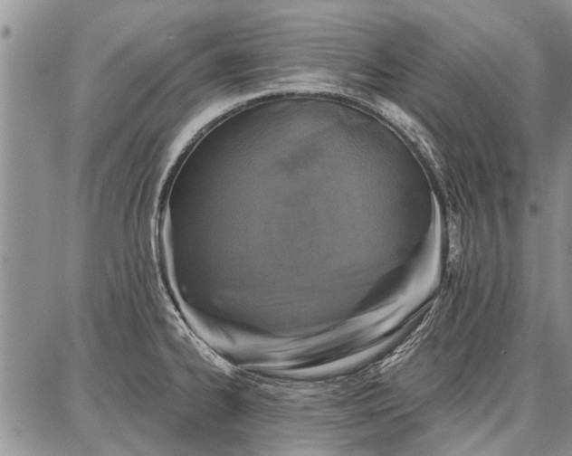 X0000086881334200704231053