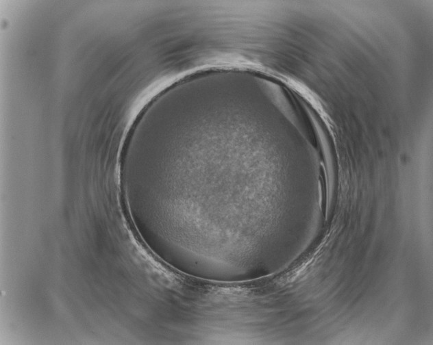 X0000086881335200704231053