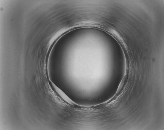 X0000086881336200704231053