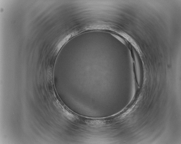 X0000086881337200704231053