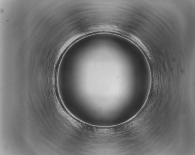 X0000086881339200704231053