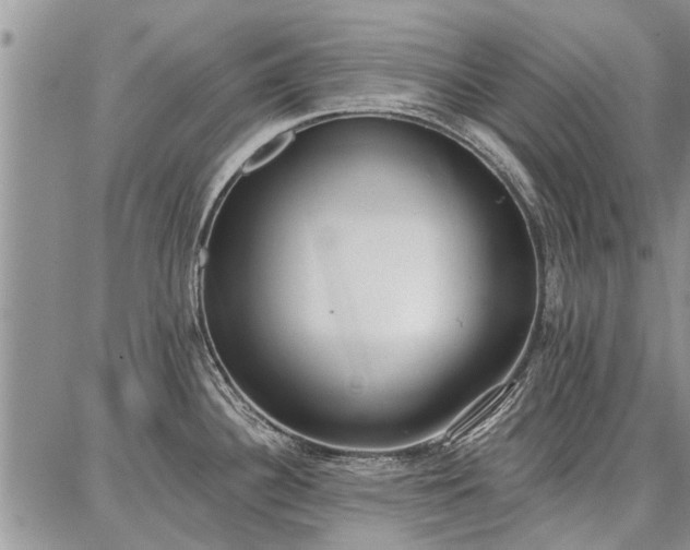 X0000086881340200704231053