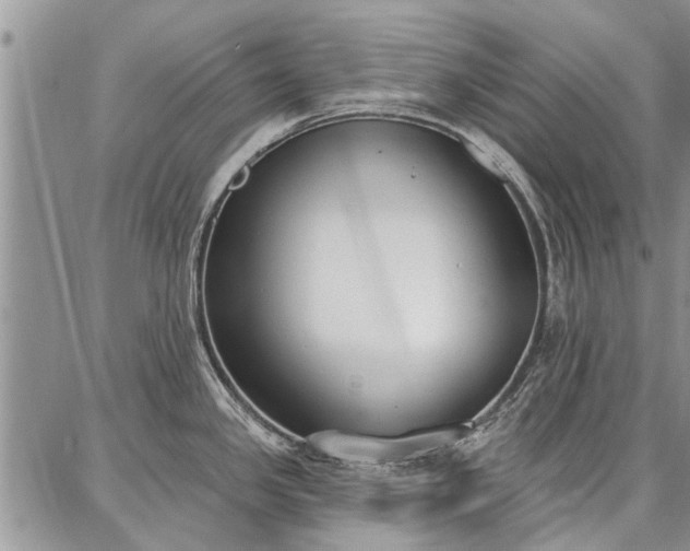 X0000086881341200704231053