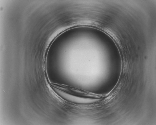 X0000086881342200704231053