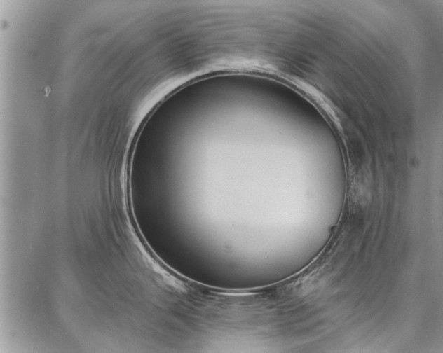 X0000086881343200704231053