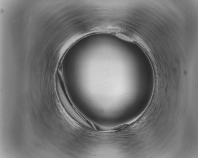 X0000086881344200704231053