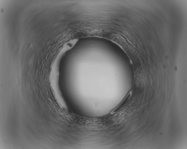 X0000086881345200704231053