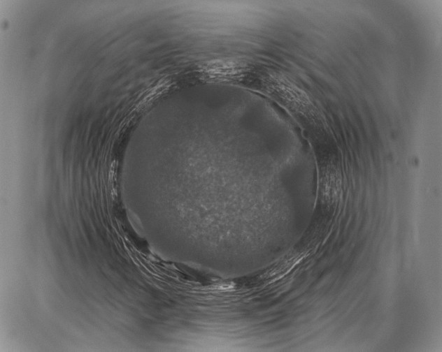 X0000086881346200704231052