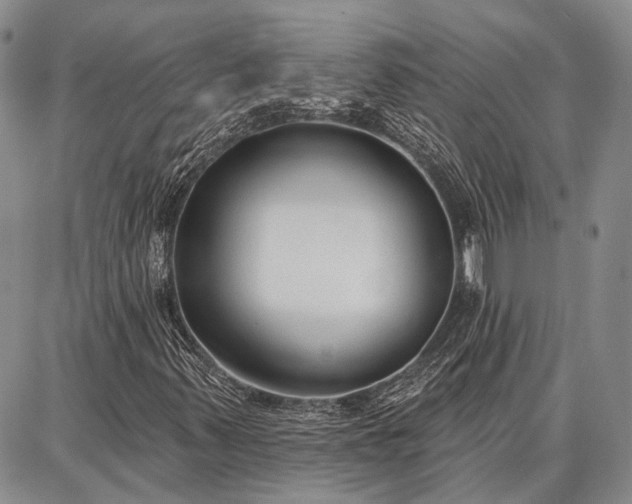 X0000086881347200704231052