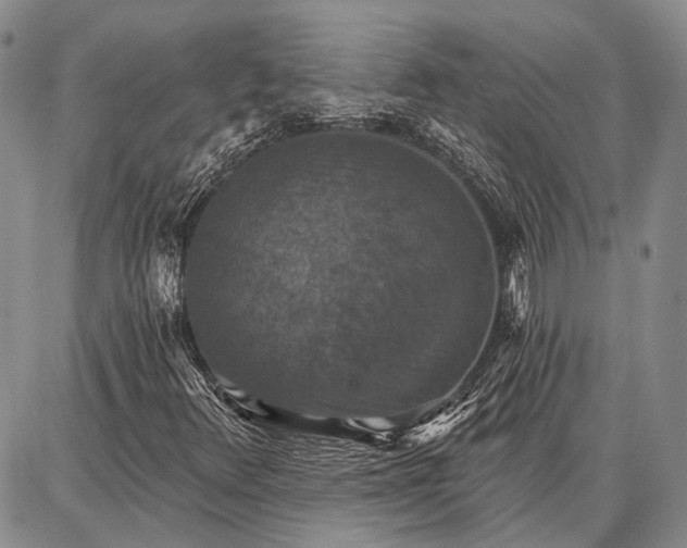 X0000086881348200704231052