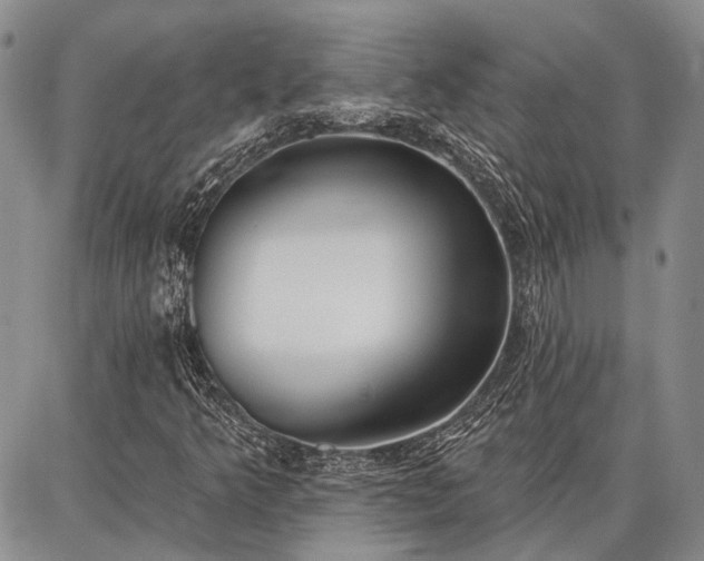 X0000086881349200704231052