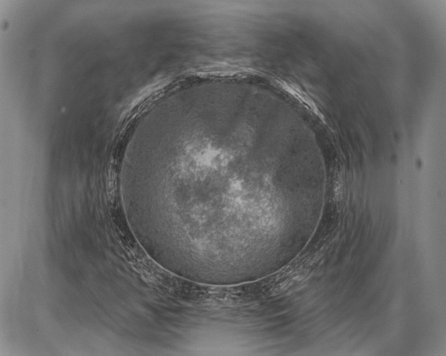 X0000086881350200704231052