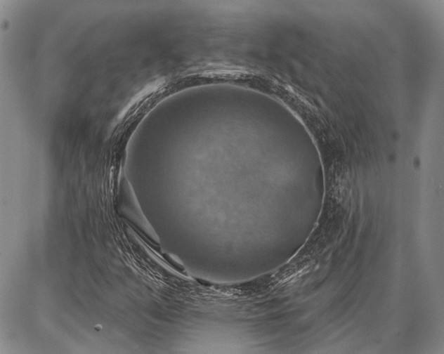 X0000086881351200704231052