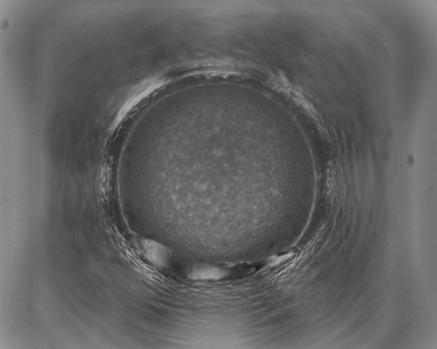 X0000086881352200704231052