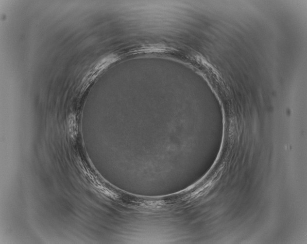 X0000086881353200704231052