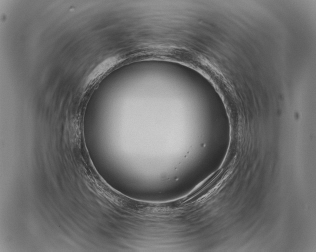 X0000086881354200704231052