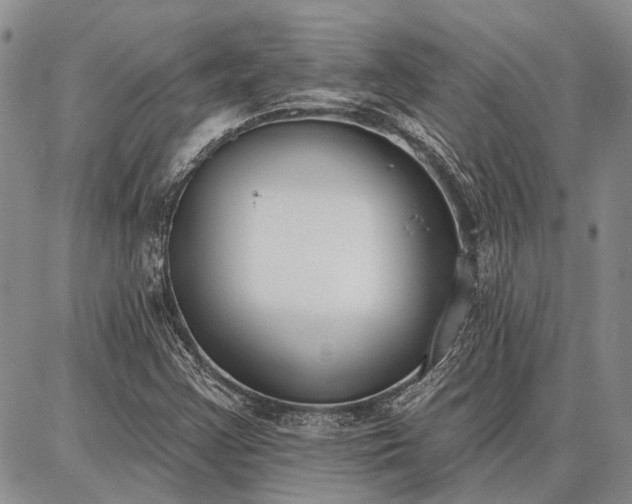 X0000086881355200704231052