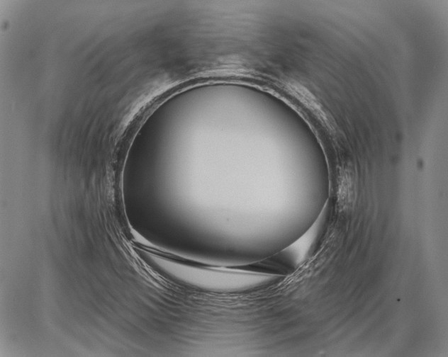 X0000086881356200704231052