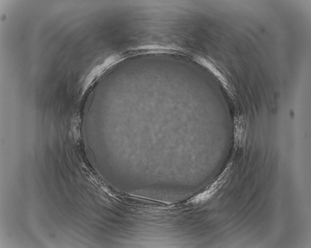 X0000086881357200704231052