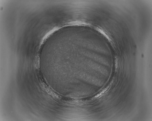 X0000086881358200704231052