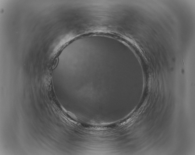 X0000086881359200704231052