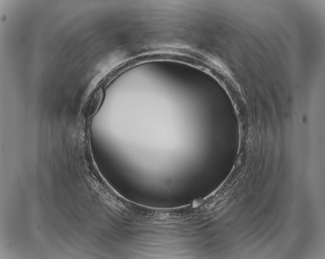 X0000086881360200704231052