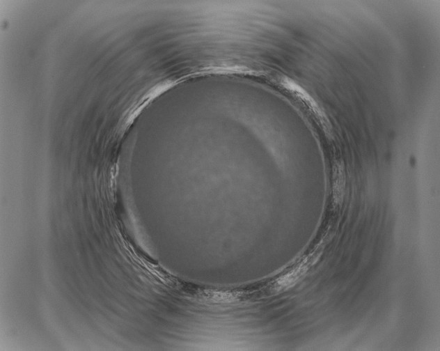 X0000086881361200704231052