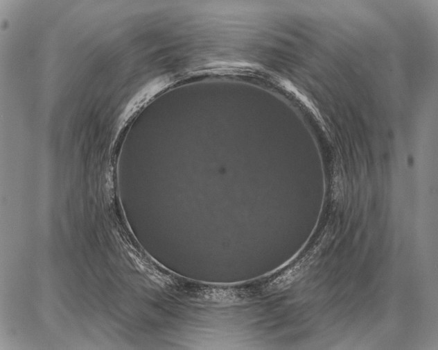 X0000086881362200704231052