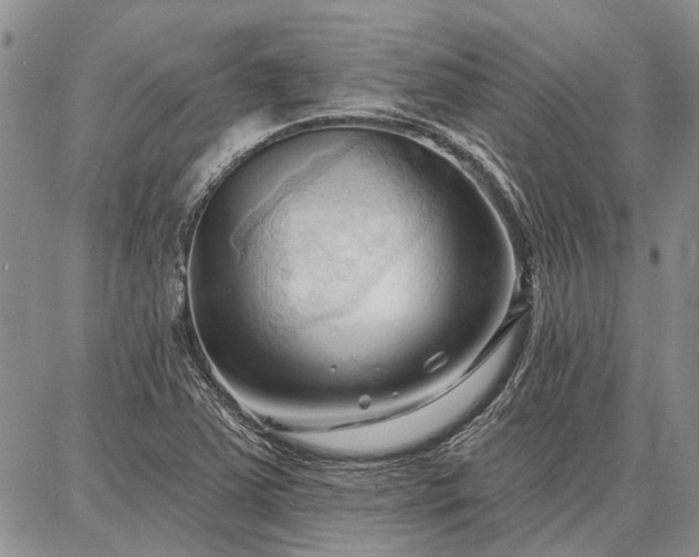 X0000086881363200704231052