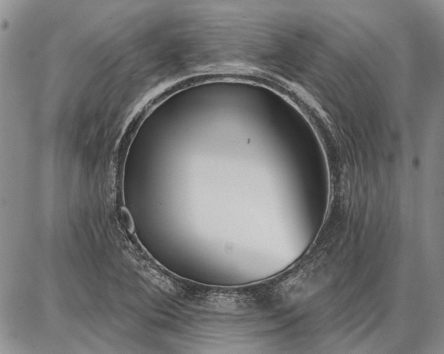 X0000086881364200704231052