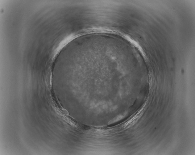 X0000086881365200704231052