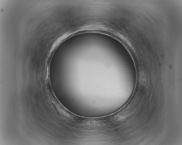 X0000086881366200704231052