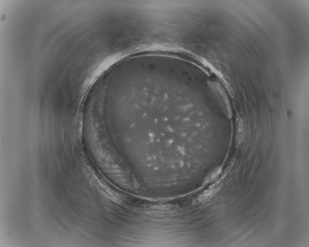 X0000086881367200704231052