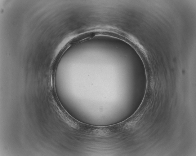 X0000086881368200704231052