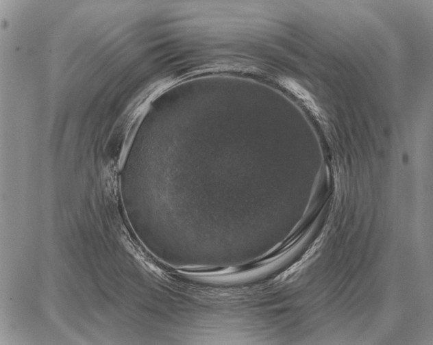 X0000086881369200704231052