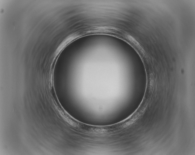 X0000086881370200704231052