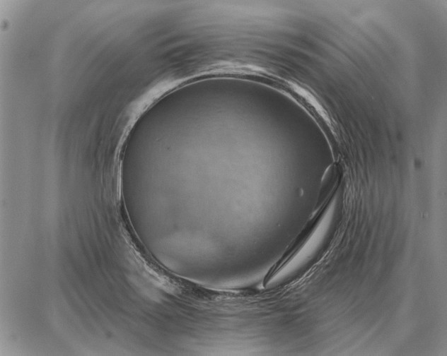 X0000086881371200704231052